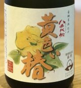 八千代伝 黄色い椿 芋焼酎25度 720ml