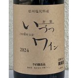 井筒ワイン 無添加 コンコード 2024（赤）甘口  720ml