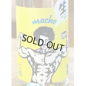 画像1: 大盃 MACHO 雄町80％ 純米生酒 1.8L