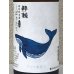 画像1: 酔鯨 特別純米 しぼりたて生酒 720ml (1)