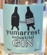 画像2: Yumarrest(ヤマレスト) オーディナリー ジン 45％ 500ml (2)